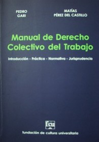 Manual de derecho colectivo del trabajo : introducción - práctica - normativa - jurisprudencia