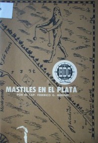 Mástiles en el Plata