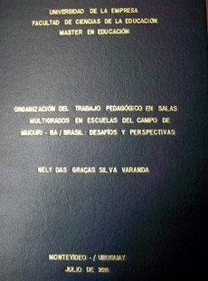 Organización del trabajo pedagógico en las clases multigrados de las escuelas del campo de Mucuri-Bahía/Brasil : desafíos y perpectivas