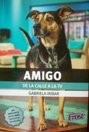 Amigo : de la calle a la TV