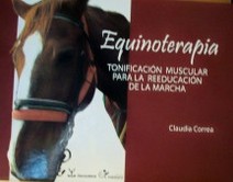 Equinoterapia : tonificación muscular para la reeducación de la marcha