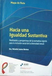 Hacia una igualdad sustantiva : realidades y perspectivas de la normativa vigente para la inclusión social de la diversidad sexual