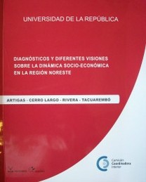 Diagnósticos y diferentes visiones sobre la dinámica socio-económica en la región noreste : Artigas - Cerro Largo - Rivera - Tacuarembó