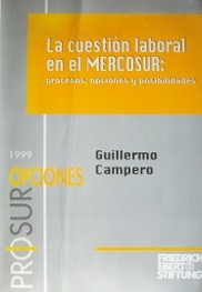 La cuestión laboral en el Mercosur : procesos, opciones y posibilidades