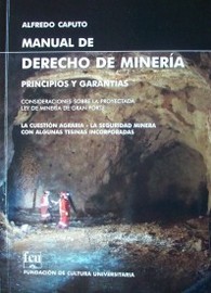 Manual de Derecho de Minería : principios y garantías