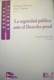 La seguridad pública ante el Derecho penal