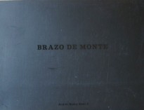Brazo de monte