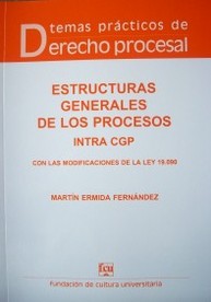 Estructuras generales de los procesos intra CGP : con las modificaciones de la Ley 19.090