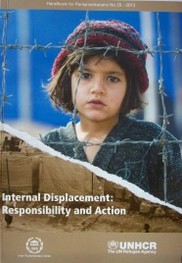 Internal displacement : responsibility and action