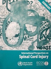 International Perspectives on Spinal Cord Injury : summary