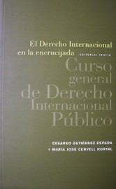 El Derecho Internacional en la encrucijada