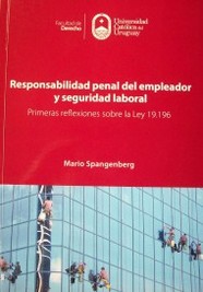 Responsabilidad penal de empleador y seguridad laboral : primeras reflexiones sobre la ley 19.196