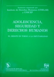 Adolescencia, seguridad y derechos humanos : el debate en torno a la imputabilidad