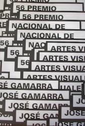 56º Premio Nacional de Artes Visuales : José Gamarra
