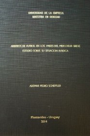 Arbitros de fútbol en los países del Mercosur : breve estudio sobre su situación jurídica