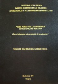 Focem-Fondo para la convergencia estructural del Mercosur : ¿ Es un instrumento real de reducción de las asimetrías?