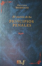 El sentido de los principios penales