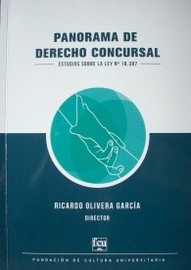 Panorama de Derecho Concursal : estudios sobre la ley Nº 18.387