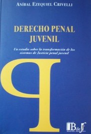 Derecho penal juvenil : un estudio sobre la transformación de los sistemas de justicia penal juvenil