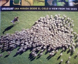 Uruguay : una mirada desde el cielo = a view form the skies