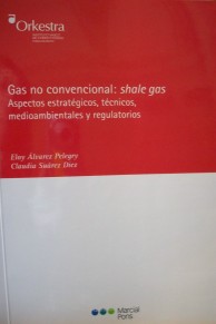 Gas no convencional : shale gas : aspectos estratégicos, técnicos, medioambientales y regulatorios