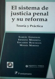 El sistema de justicia penal y su reforma : teoría y práctica