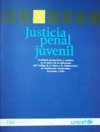 Justicia penal juvenil : realidad, perspectivas y cambios en el marco de la aplicación del Código de la Niñez y la adolescencia en Maldonado, Montevideo, Paysandú y Salto