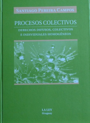 Procesos colectivos : derechos difusos, colectivos e individuales homogéneos