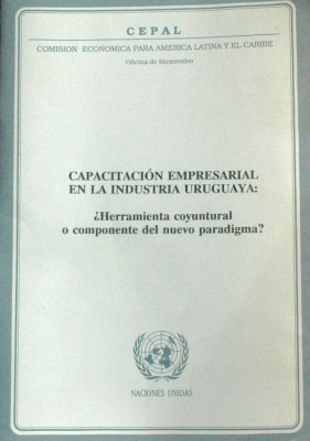 Capacitación empresarial en la industria uruguaya : ¿herramienta coyuntural o componente del nuevo paradigma?