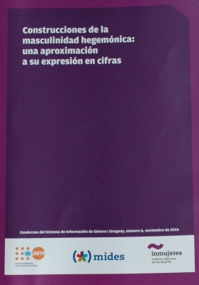 Construcciones de la masculinidad hegemónica : una aproximación a su expresión en cifras