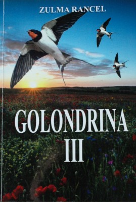 Golondrina 3