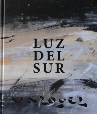 Luz del sur = Southern light : Gustavo Vázquez