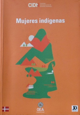 Las mujeres indígenas y sus derechos humanos en las Américas