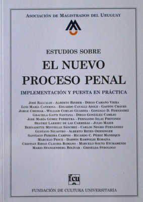 Estudios sobre el nuevo proceso penal : implementación y puesta en práctica