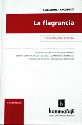 La flagrancia : concepto y tipo procesal