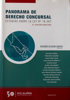 Panorama de Derecho Concursal : estudios sobre la ley Nº 18.387