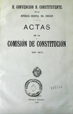 Actas de la Comisión de Constitución : (1916-1917)
