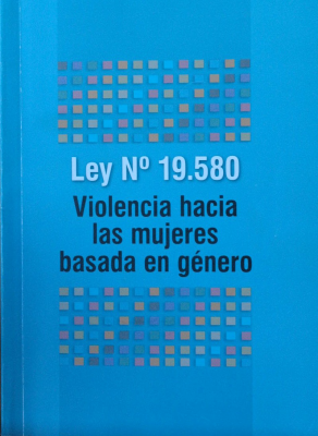 Ley Nº 19.580 : violencia hacia las mujeres basada en género
