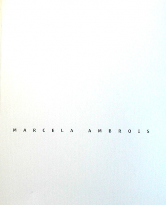 Tierras de la memoria = Memory landscapes : Marcela Ambrois