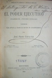 El Poder Ejecutivo : (organización - funciones ordinarias)