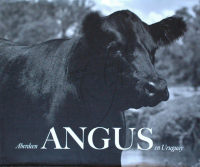 Aberdeen Angus en Uruguay