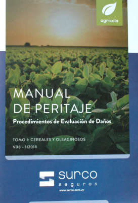 Manual de peritaje : procedimientos de evaluación de daños